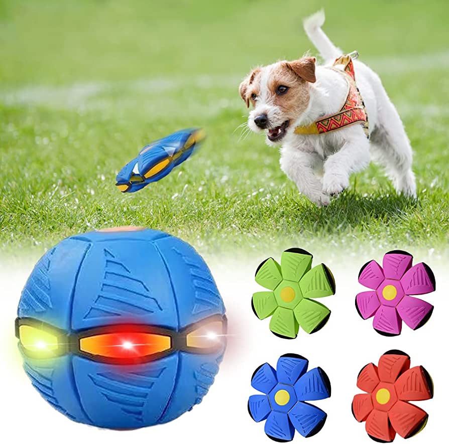 Tail Waggers Dog Frisbee